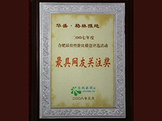 2007年度最具網(wǎng)友關注獎（華盛·格林雅地）