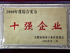 2008年度包河工業(yè)區(qū)綜合實力十強企業(yè)